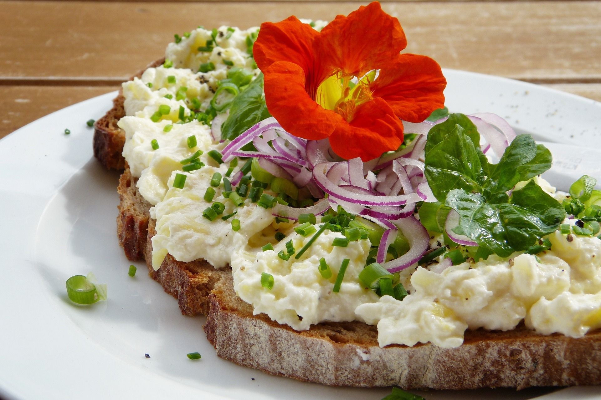 vegan hotels blog 9