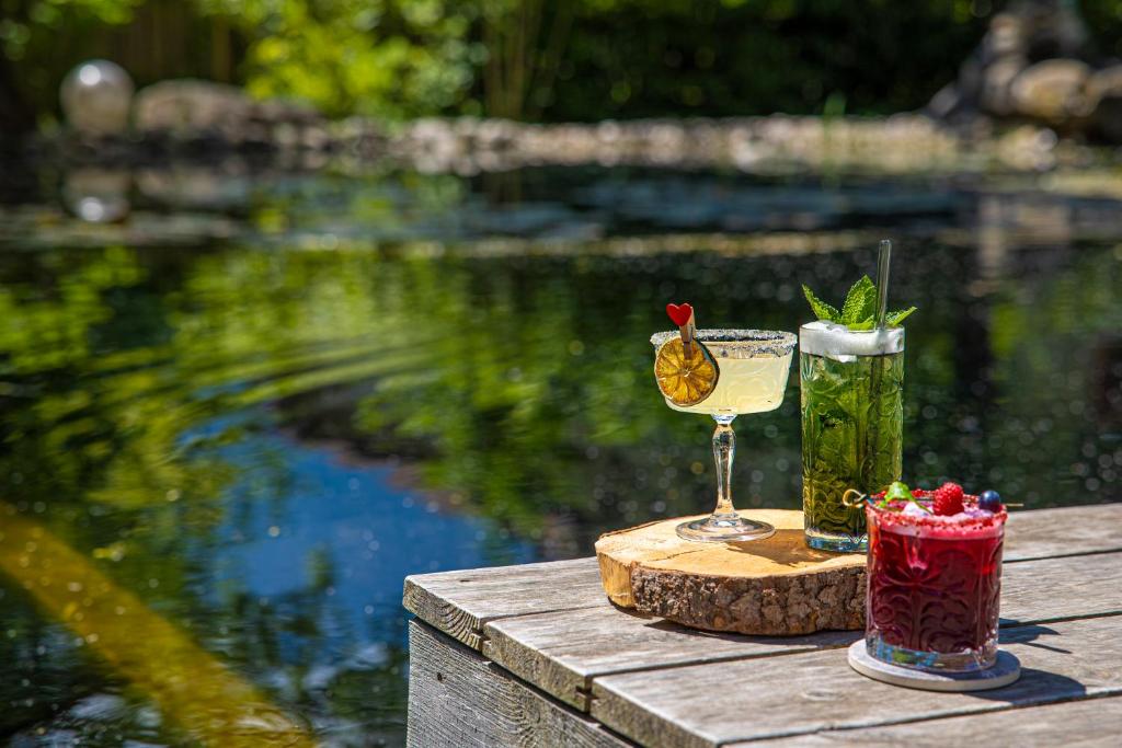 vegan-hotel-la-vimea-naturno-vegan-hotel-italie10 vegan hotel la vimea naturno vegan hotel italie